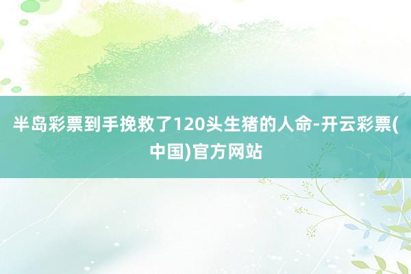 半岛彩票到手挽救了120头生猪的人命-开云彩票(中国)官方网站