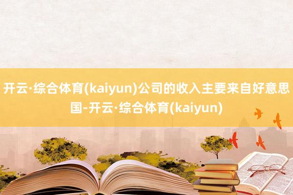 开云·综合体育(kaiyun)公司的收入主要来自好意思国-开云·综合体育(kaiyun)