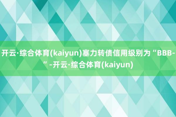 开云·综合体育(kaiyun)塞力转债信用级别为“BBB-”-开云·综合体育(kaiyun)